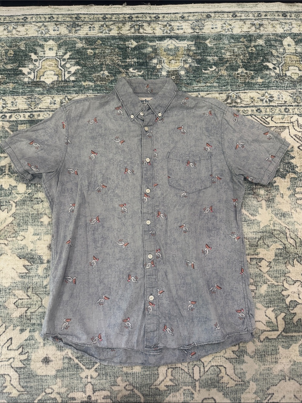 Large men’s pelican button down